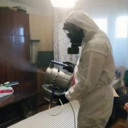 Дезинфекция от клопов в Зеленодольске