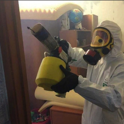 Уничтожение клопов в квартире. Зеленодольск